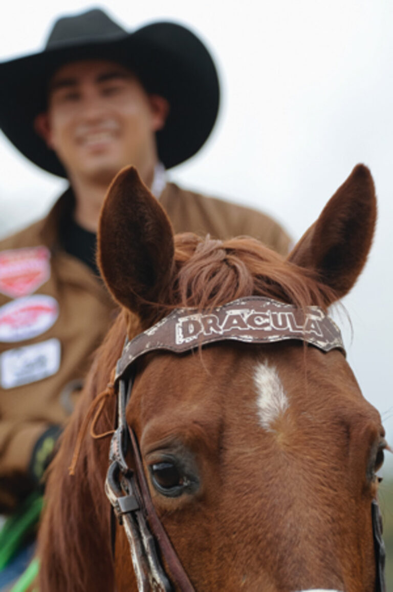 MTQ5MzM3NzQ4ODc5MzIwNzU4