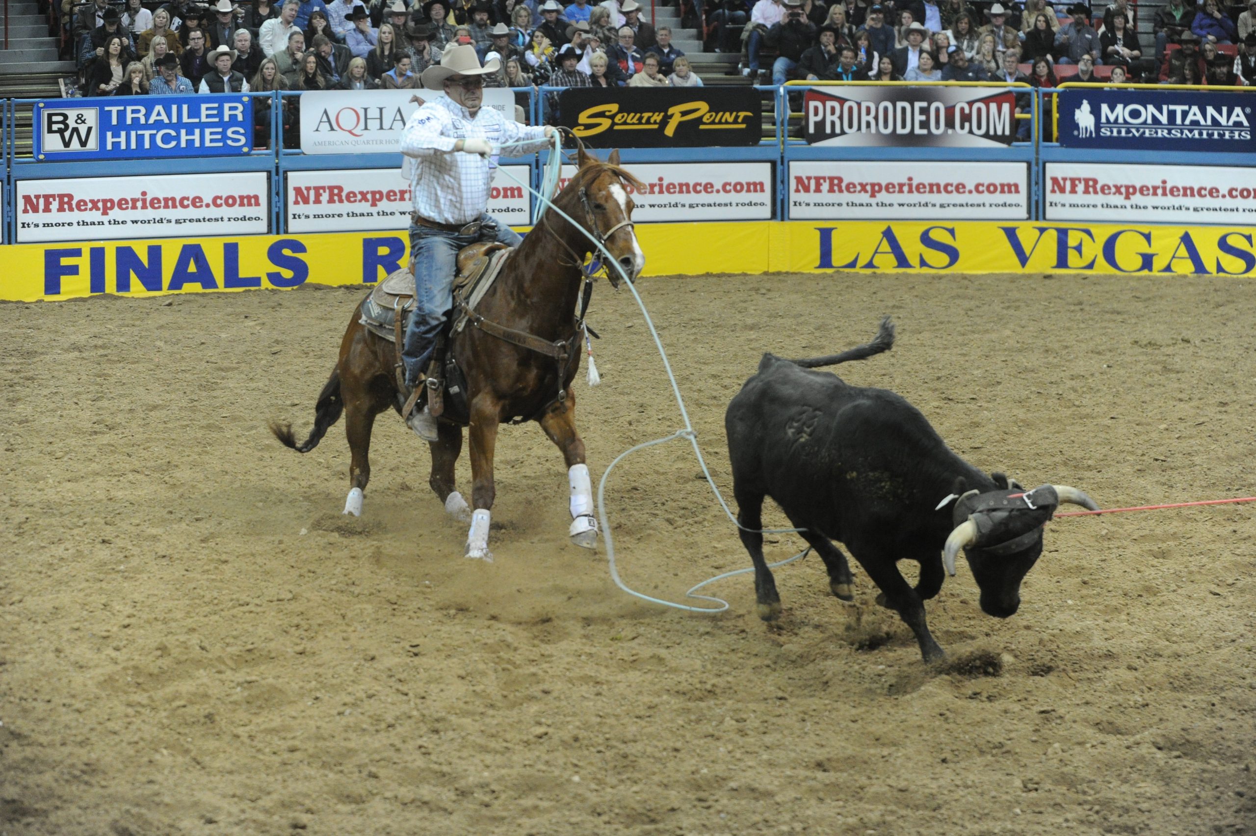 Martin Lucero at the 2013 NFR.