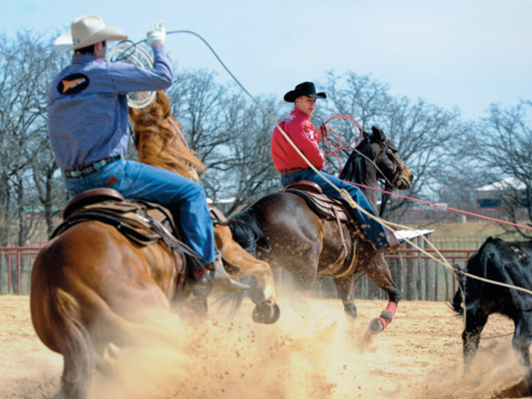 Dakota Kirchenschlager