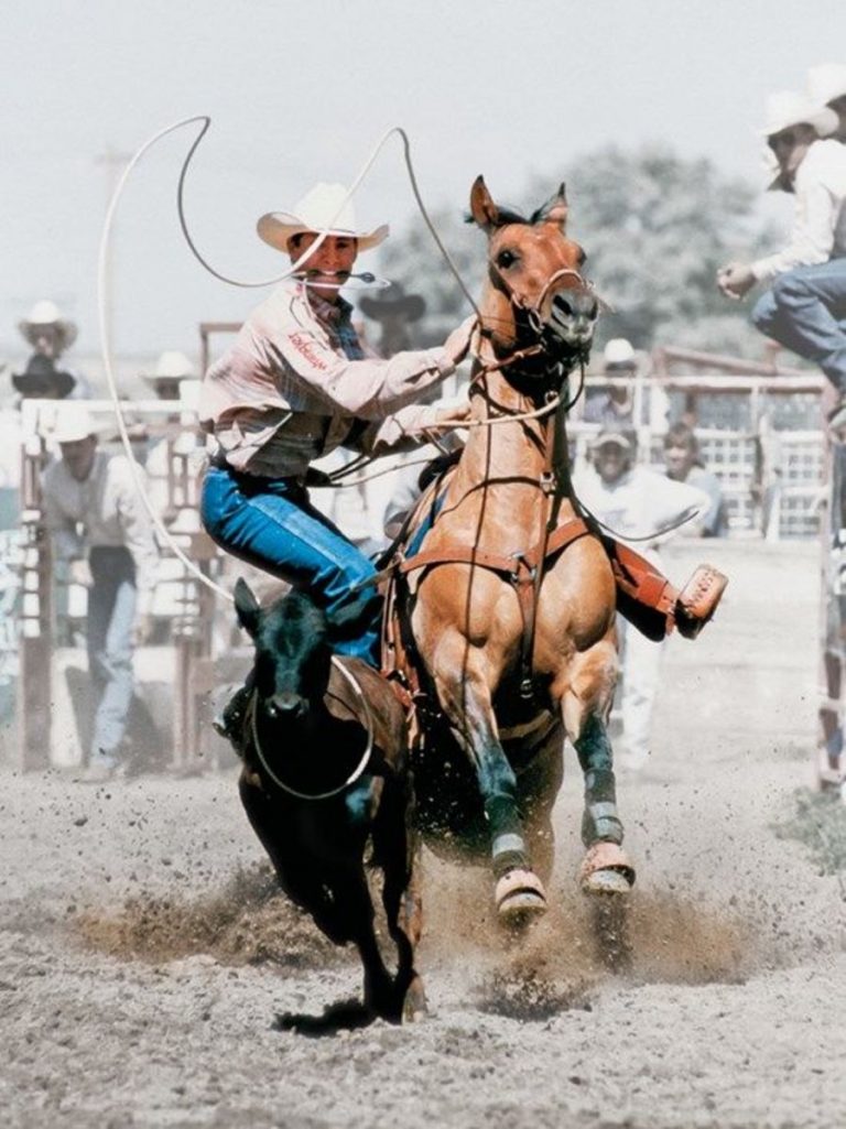 332341092_875074626939803_6234568884436883801_n