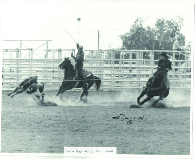 Arizona Team Roping