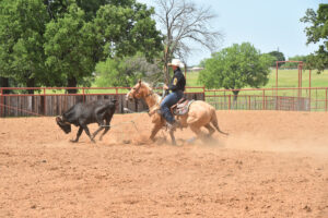 Wesley Thorp The Team Roping Journal