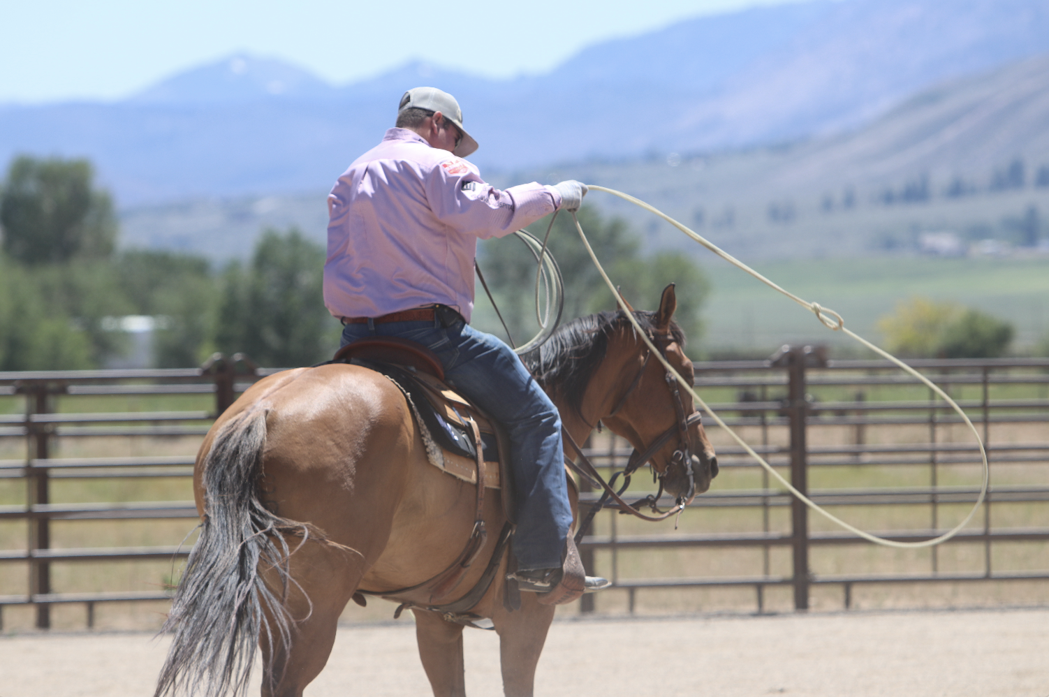 Travis Graves Spoke Length Team Roping Journal