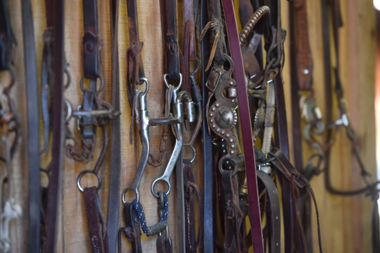 MTYxMDQ2MzI2ODQ1MzgzODU0