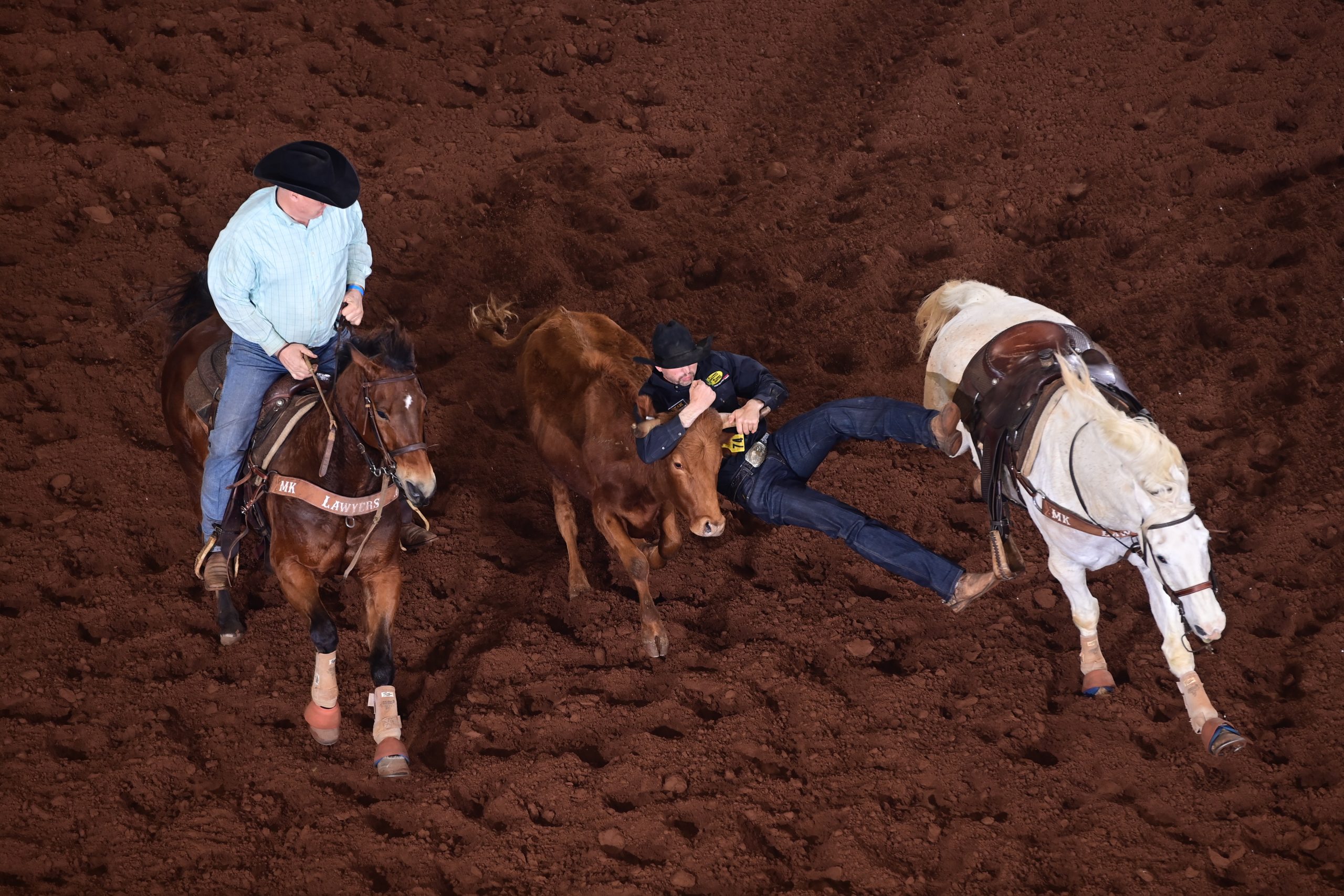Lane Karney steer wrestling at the 2021 Cinch Timed Event Championship.