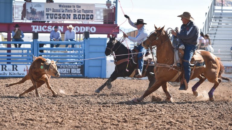 MTcyMzE3MDA5Mjk4NTk3NDAx