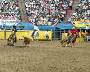 Jake Barnes and Clay O’Brien Cooper have 56 National Finals Rodeo qualifications and seven NFR average wins between them. They won Rodeo’s Super Bowl together in three different decades—in 1985, 1994 and 2007. Dan Hubbell Photo