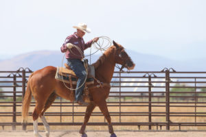 Your loop should basically be big enough to reach the steer’s horns and be tight from your saddle horn to the steer before you turn off. TRJ File Photo