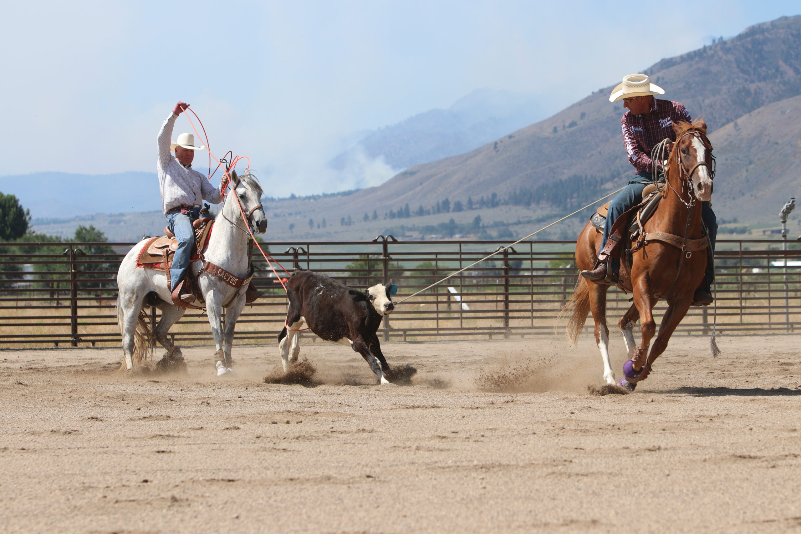 As a header, I judge my handles on how easy I make it on my heeler. TRJ File Photo