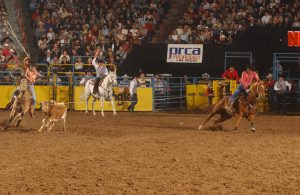 NFR Bubble Jake Barnes