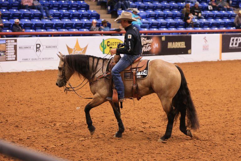 Riata Buckle Stallion Incentive Eligible Horse