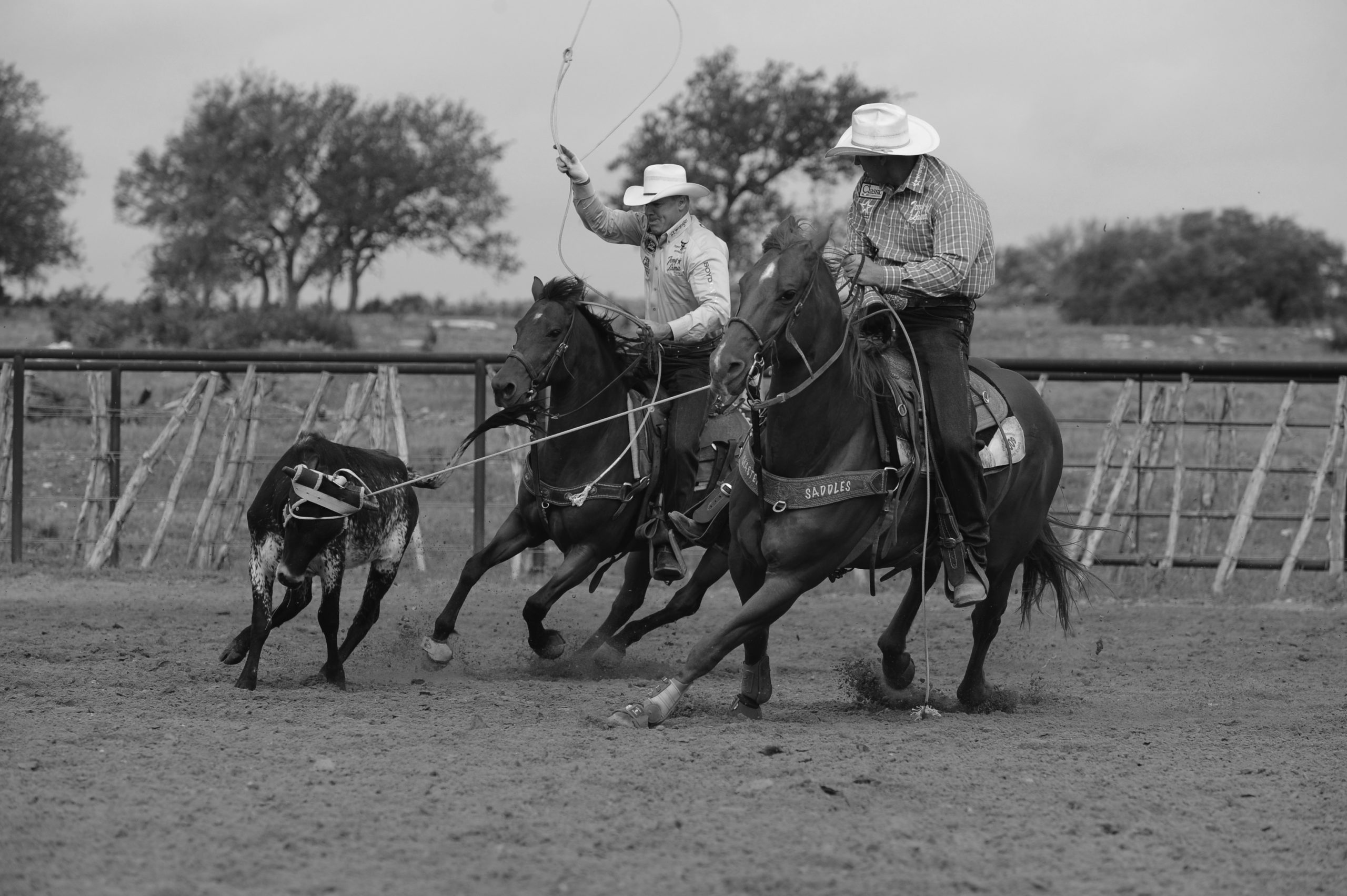 Jake Barnes Clay O Brien Cooper Team Roping Journal