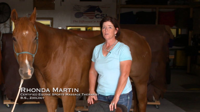 Saddle Fit 101