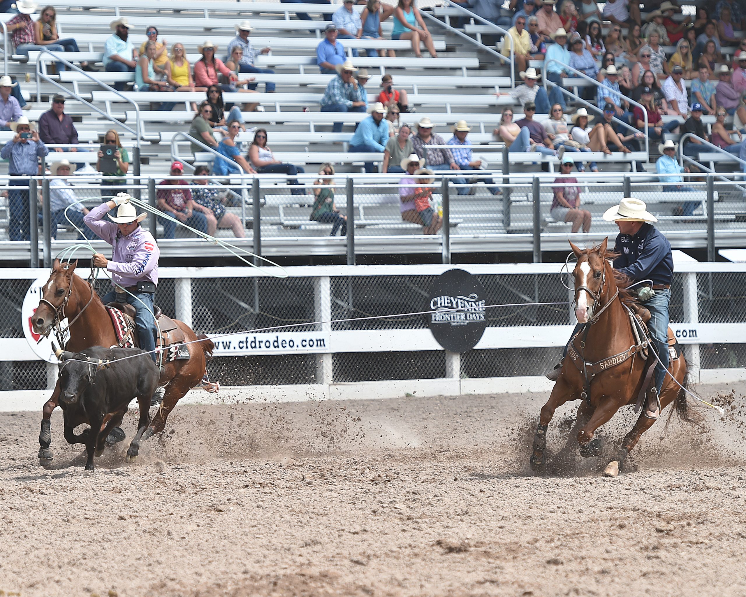 338 Masters-Harrison