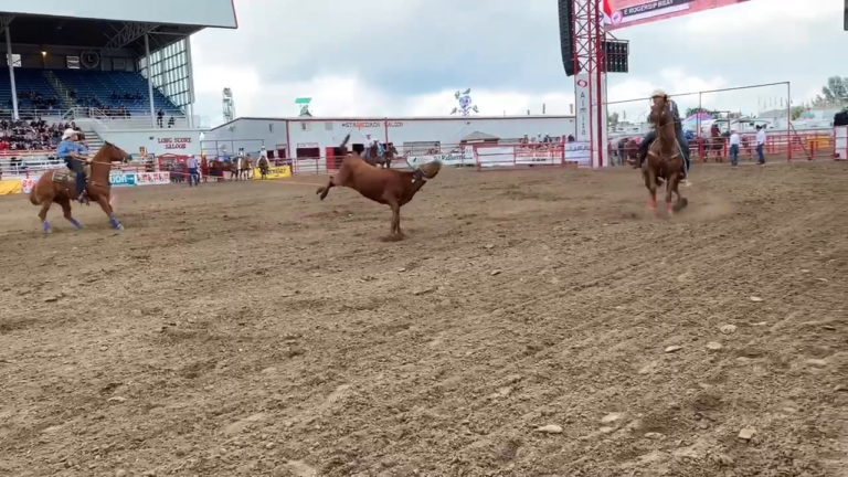2019 Resistol Rookie Heeler of the Year Paden Bray