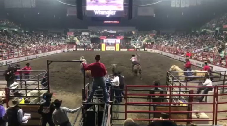 video-1572822924