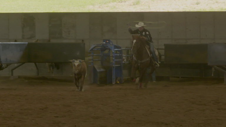 8_EQUINE_TREVOR BRAZILE TIPS_HEAD HORSE LIVE STEER INTRO_EDIT_v2_FINAL