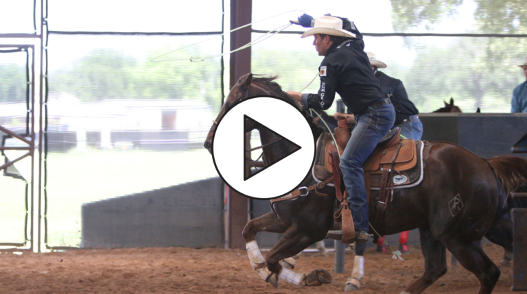 Screen Shot 2020-04-30 at 10.13