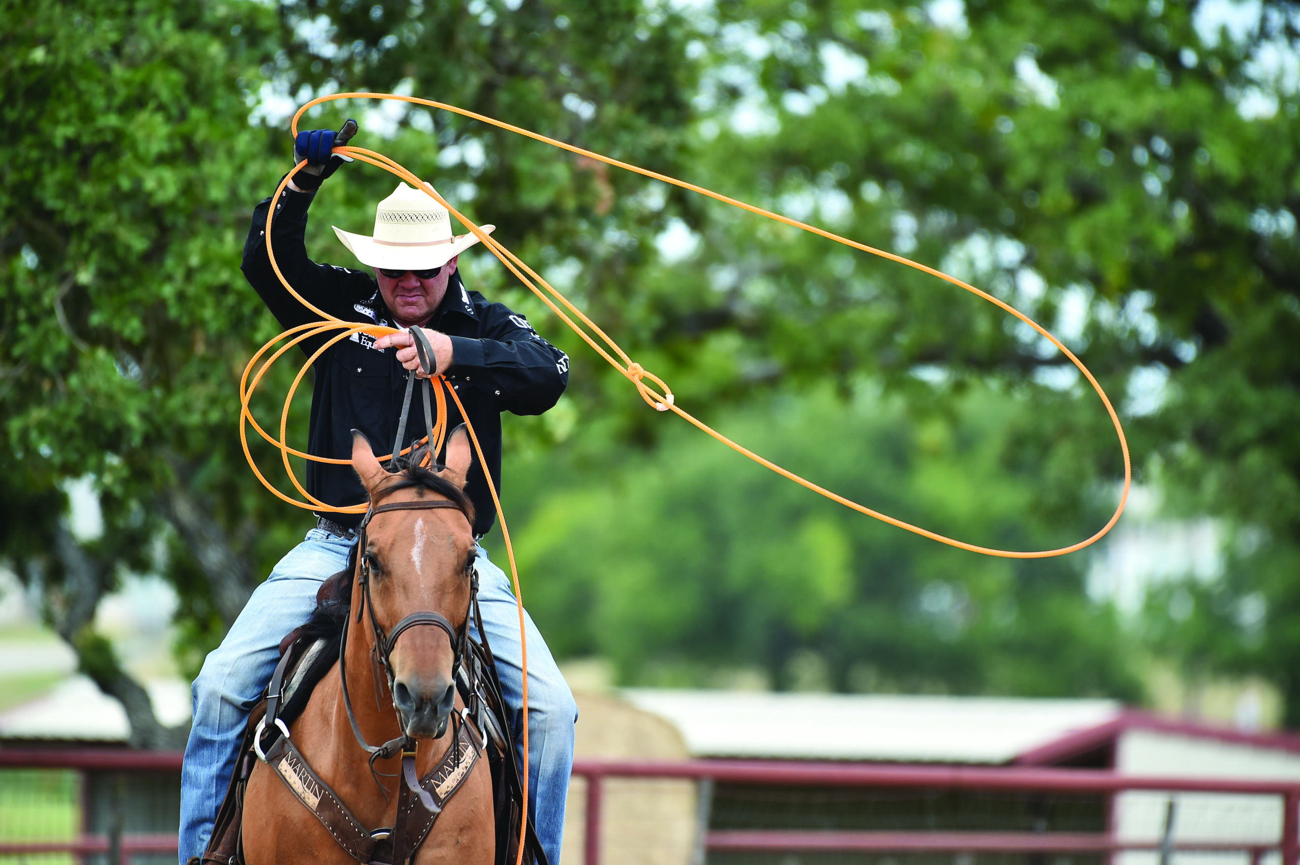 Kory Koontz Team Roping Journal