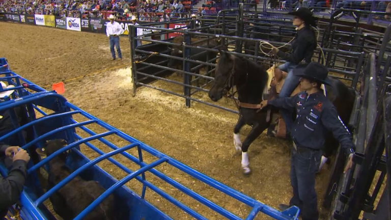 The Breakaway Roping Journal Set to Launch Sept