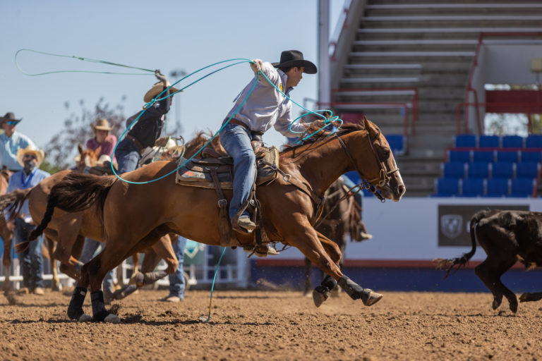 prca ram circuit finals SUNDAY MB rahlmann von ahn-0669