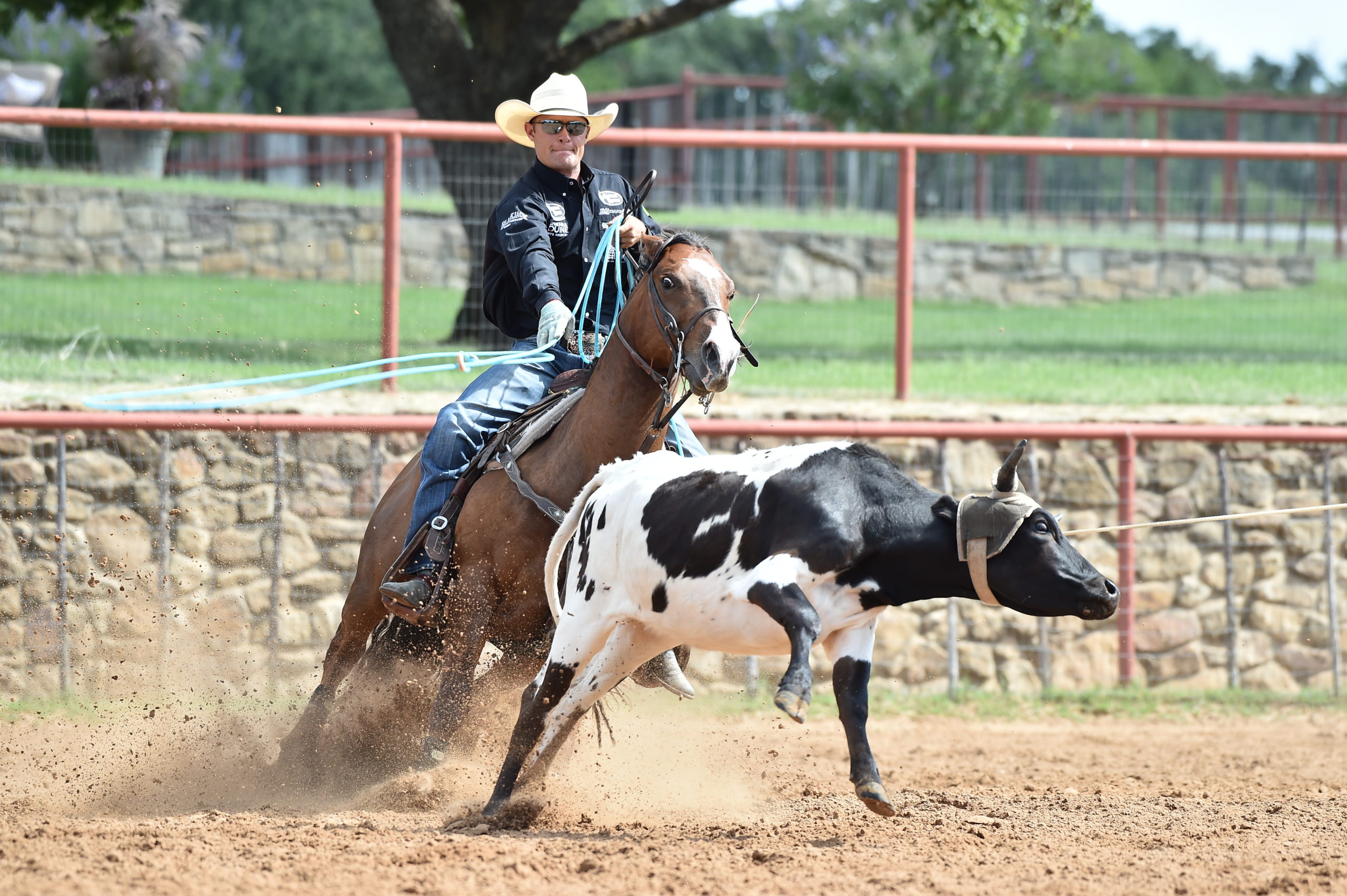 Buster and Bob on cattle and horses –