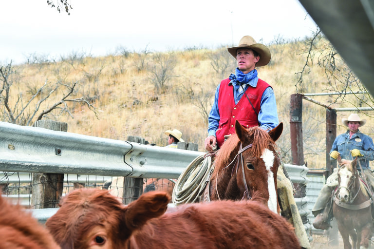 Colter Todd Ranching Jan 2018-4 copy