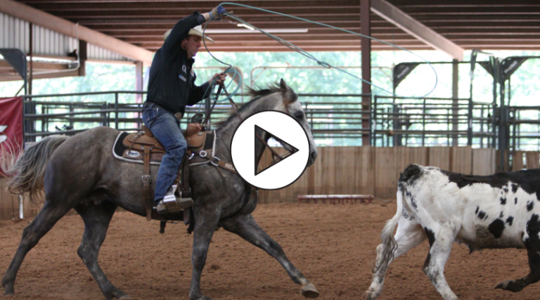 TrevorBrazile_RelentlessInsights_SplitReins_June2021