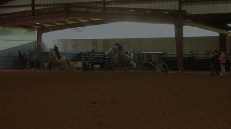 1__TREVOR_TRJ _TIPS_MAY 2021_Heel Horses Breaking Wide _FINAL_1
