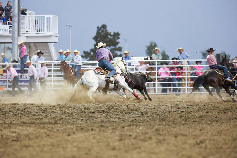 CalgarySmith_MosesLakeRoundup_August2021_BillLawless