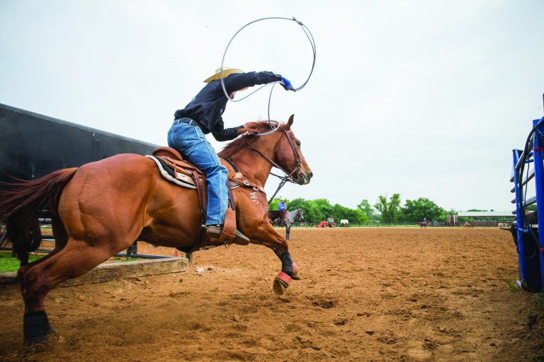 spin to win day 2 pt 2-7604