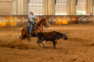 Cole Davison Royal Crown Futurity Heeling
