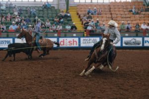 resistol rookie roundup