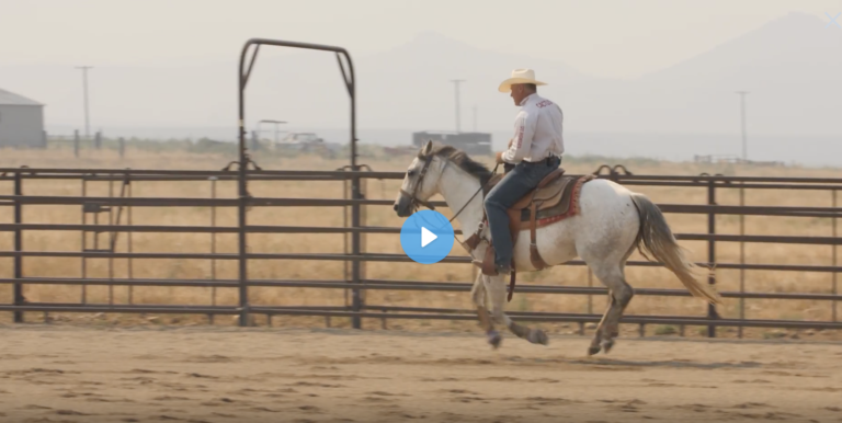 Screen Shot 2022-01-18 at 9.34