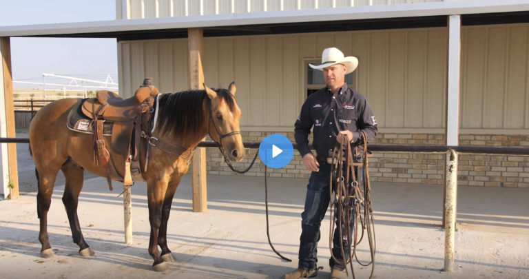 Screen Shot 2022-01-18 at 3.32