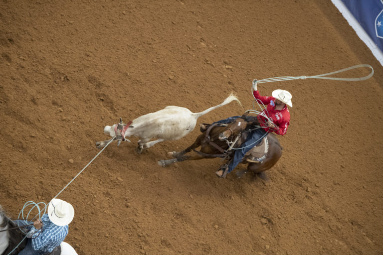 Team Roping Heeler Paul Eaves