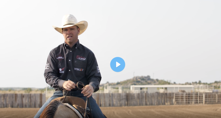 Screen Shot 2022-02-07 at 3.11