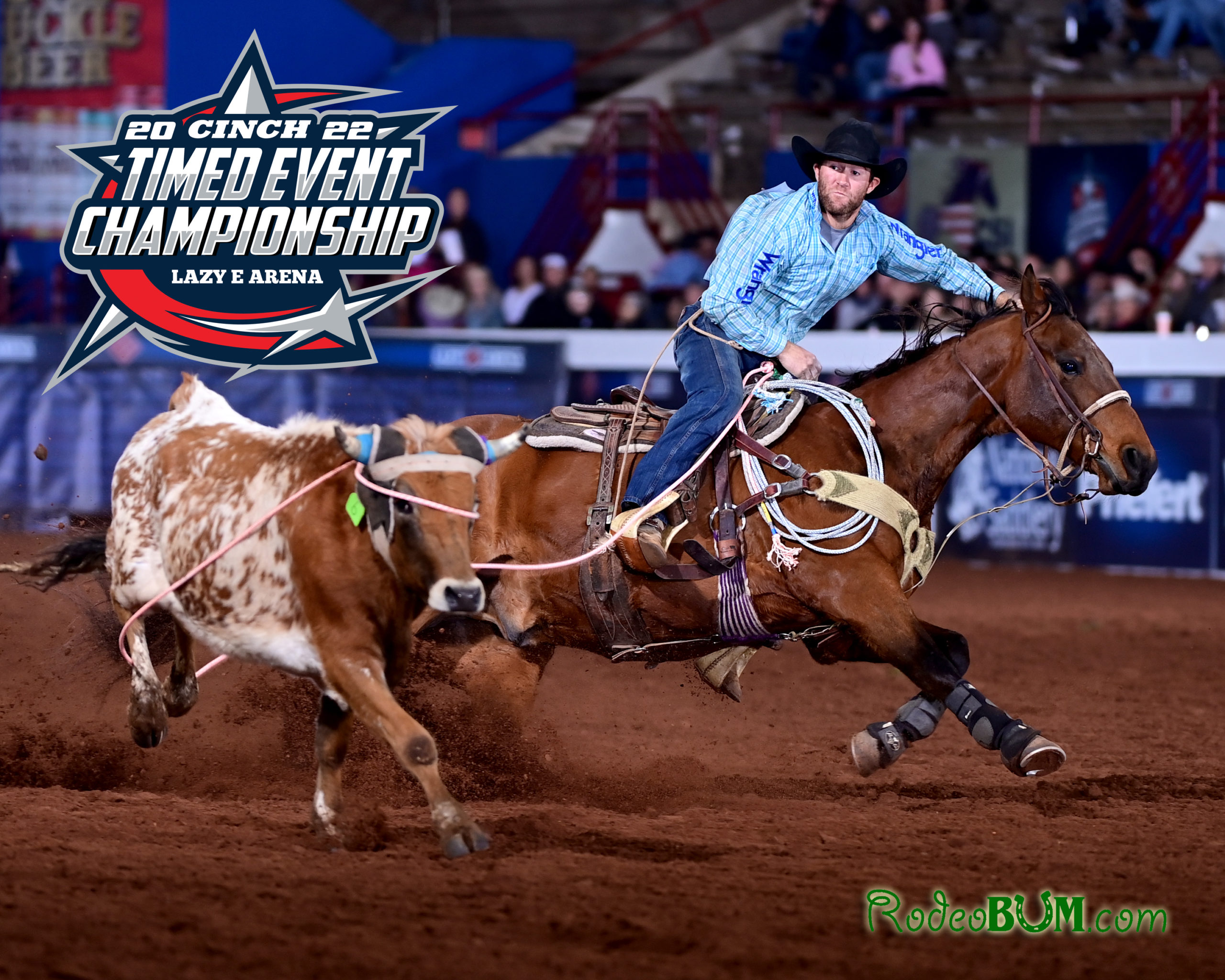 Paul David Tierney Steer Roping