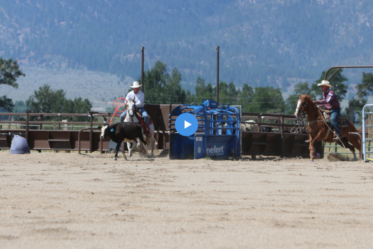 Untitled (550 × 250 px) (5)