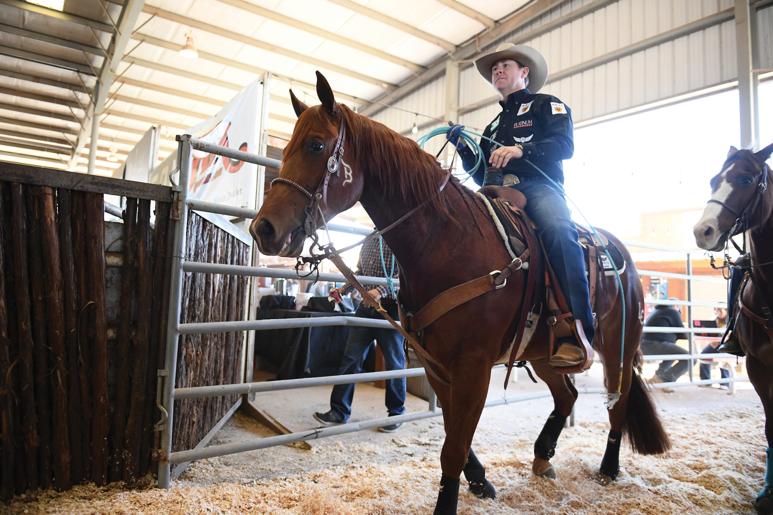 Trevor Brazile