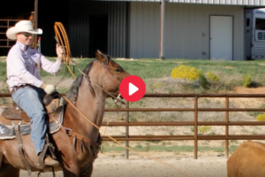 Position Leaving the Box Team Roping Journal