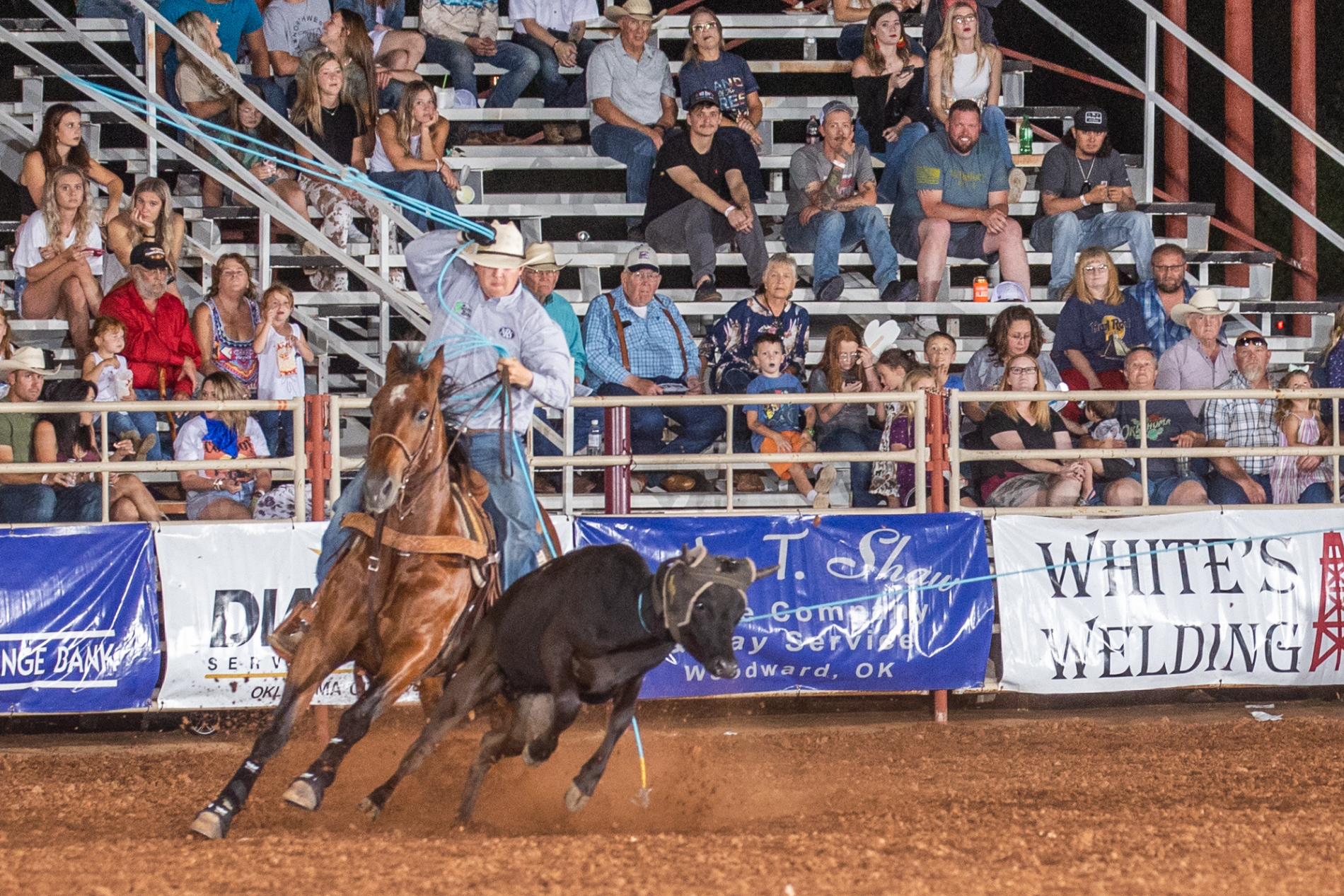 Zack Woods AVI Woodward The Team Roping Journal