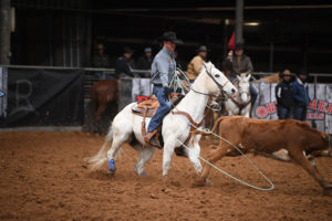 Jade Corkill Team Roping Journal