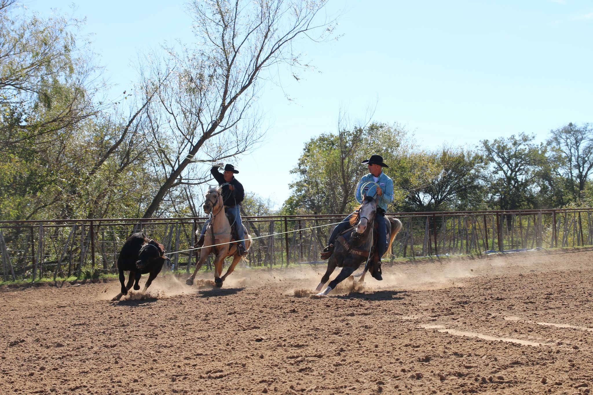 Roping.com Manny Egusquiza