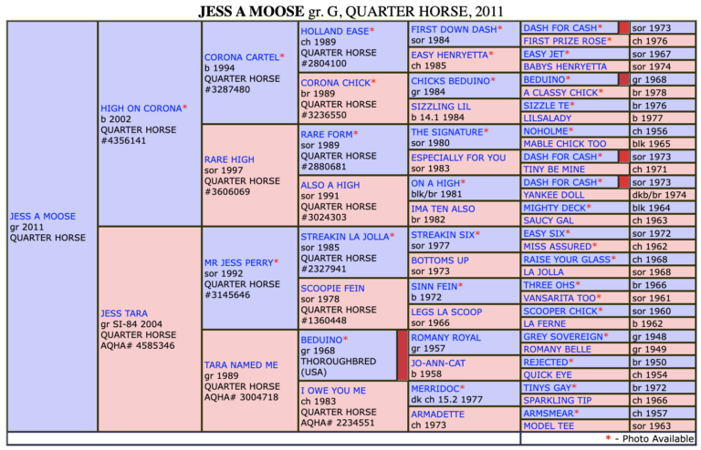 Screen Shot 2022-06-14 at 12.16