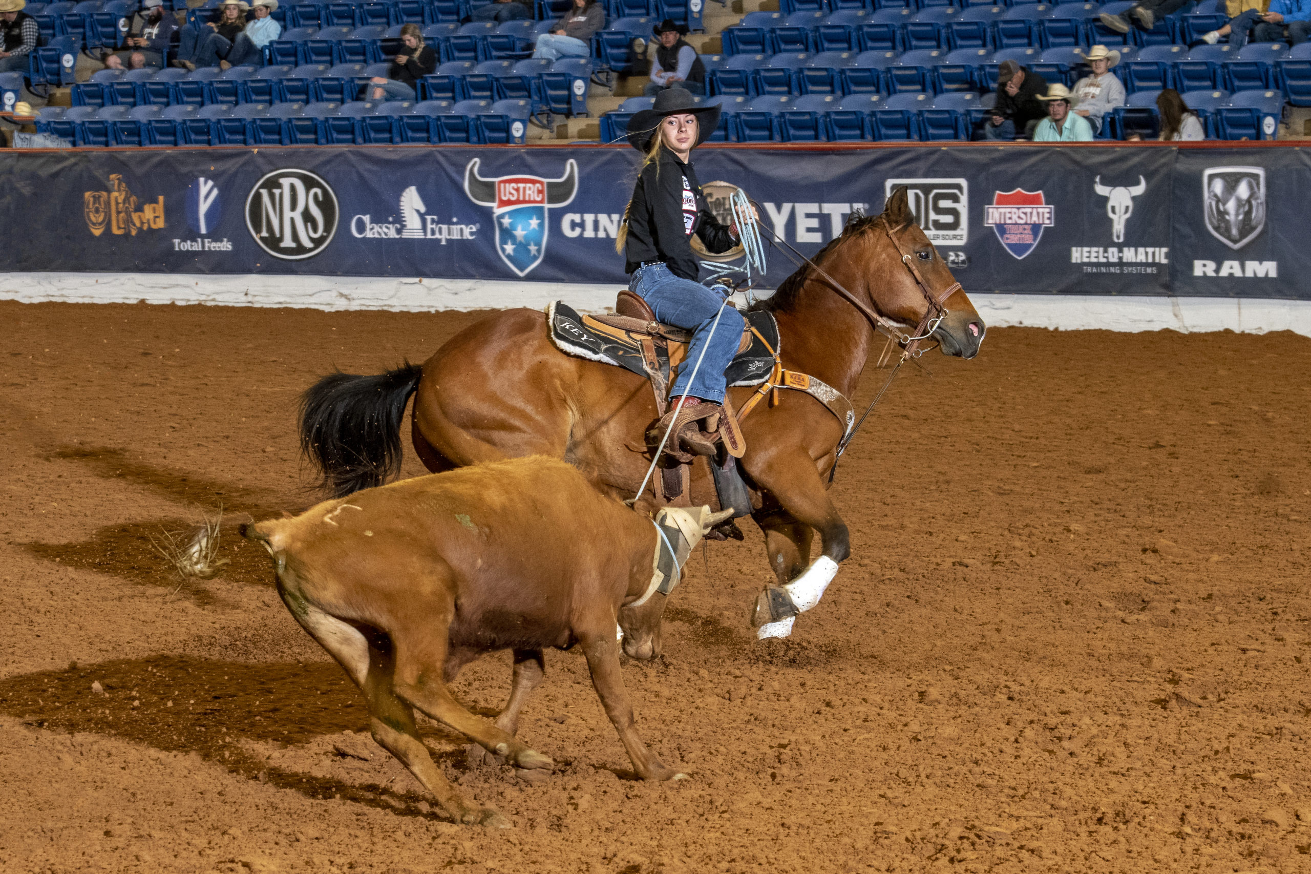 USTRC Cinch Ladies