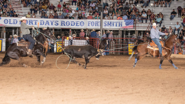 Cory Kidd V Lane Mitchell Team Roping Journal