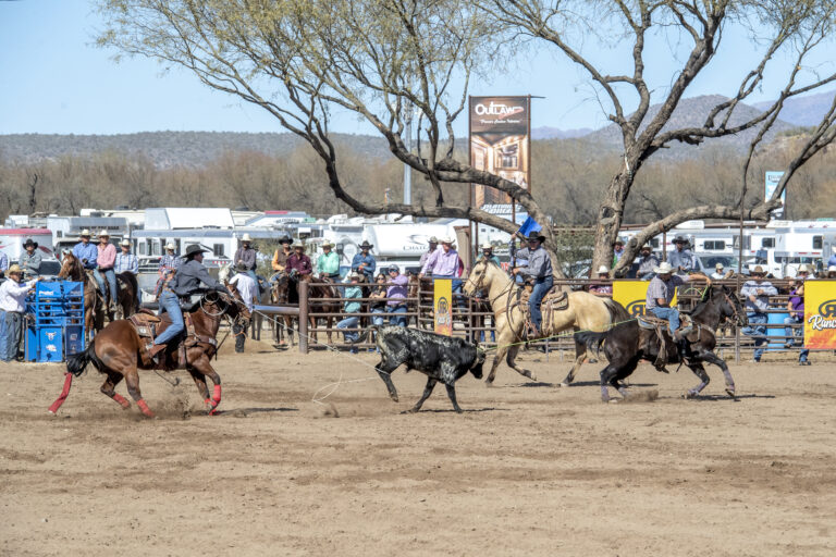 TRJ August Team Roping Jackpots