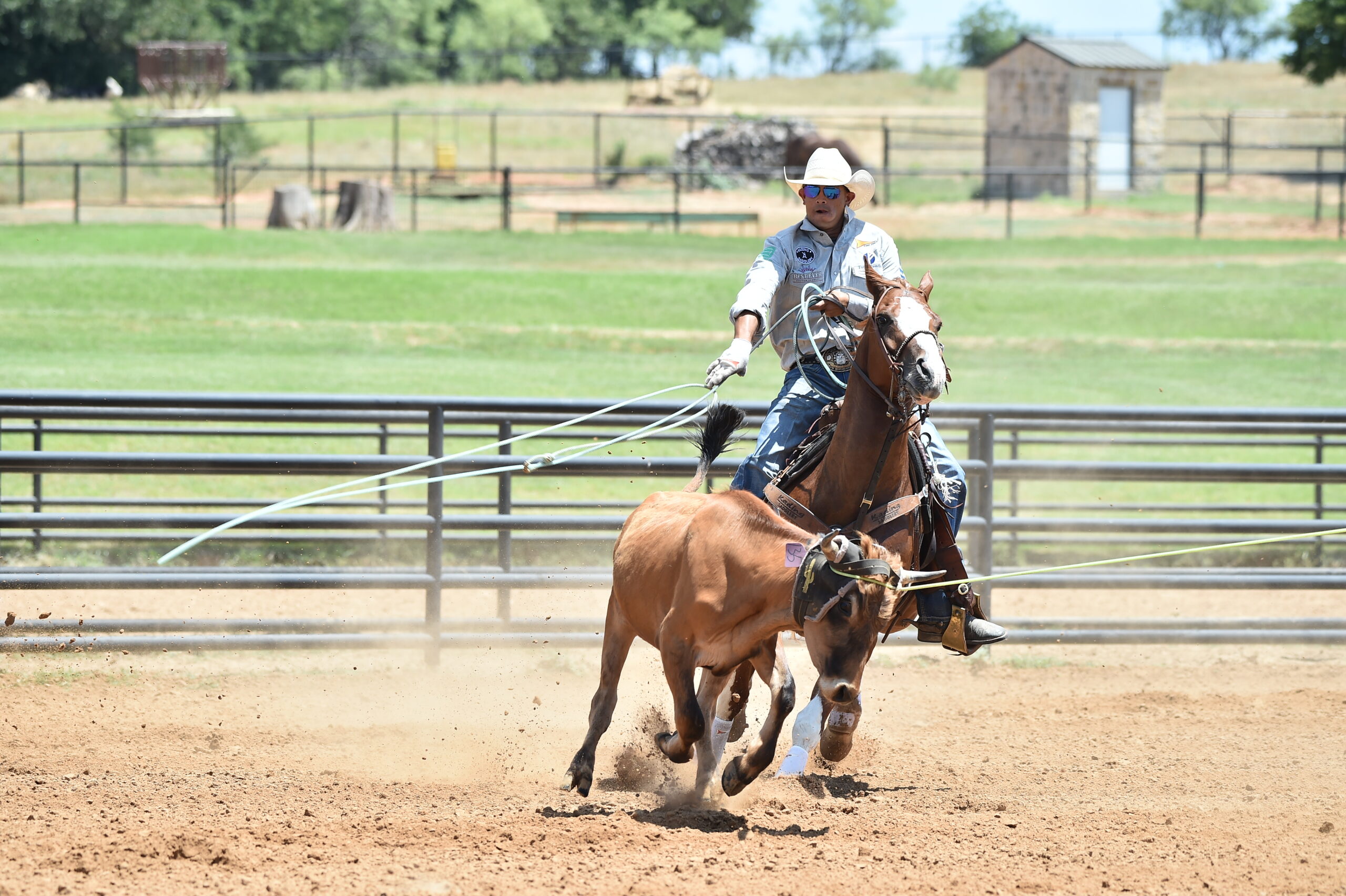 Cesar de la Cruz Heeling