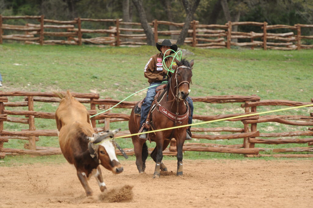 Cesar de la Cruz Johnny Ringo